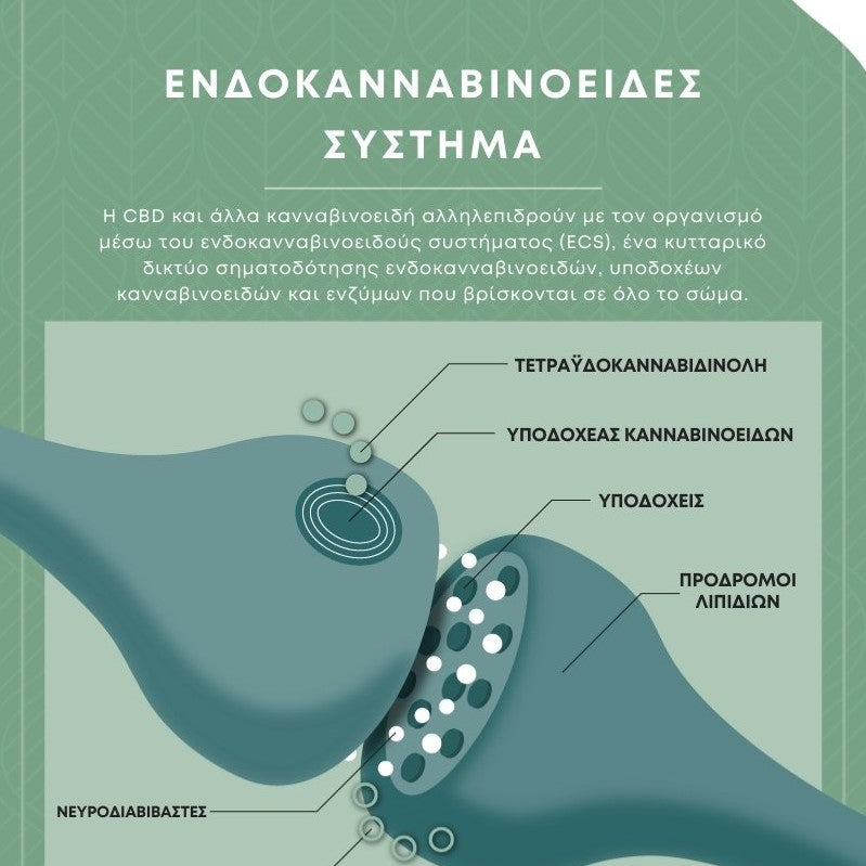 ενδοκανναβινοειδες συστημα