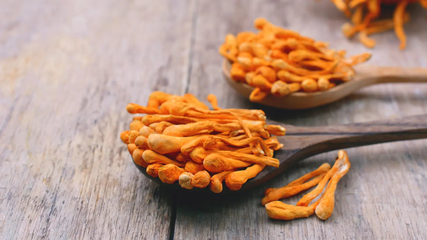 Οφέλη, δοσολογία και παρενέργειες του Cordyceps - Κόρντισεπς