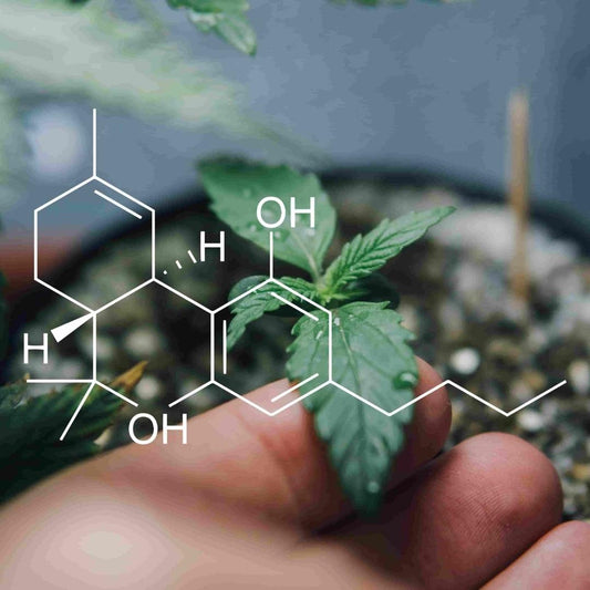 cbd τι ειναι