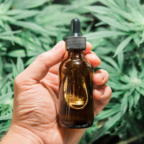 cbd χρηση