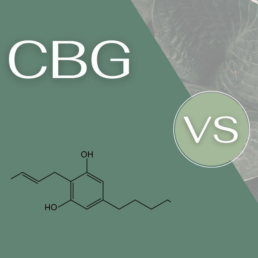 cbd vd cbg