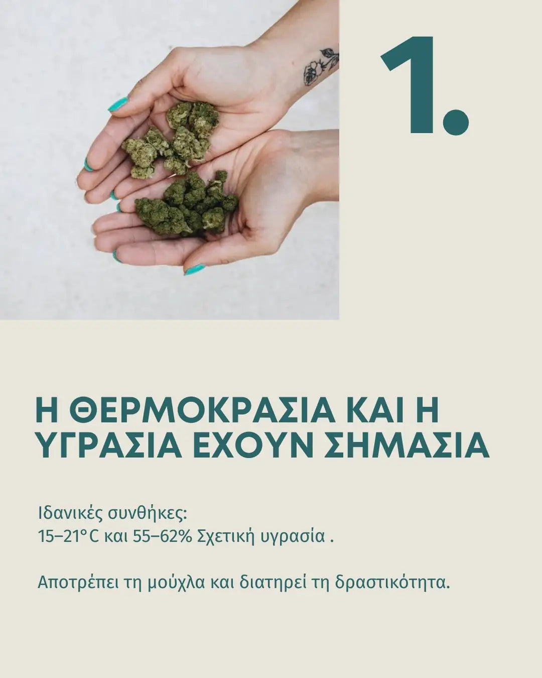 Ανθοί CBD