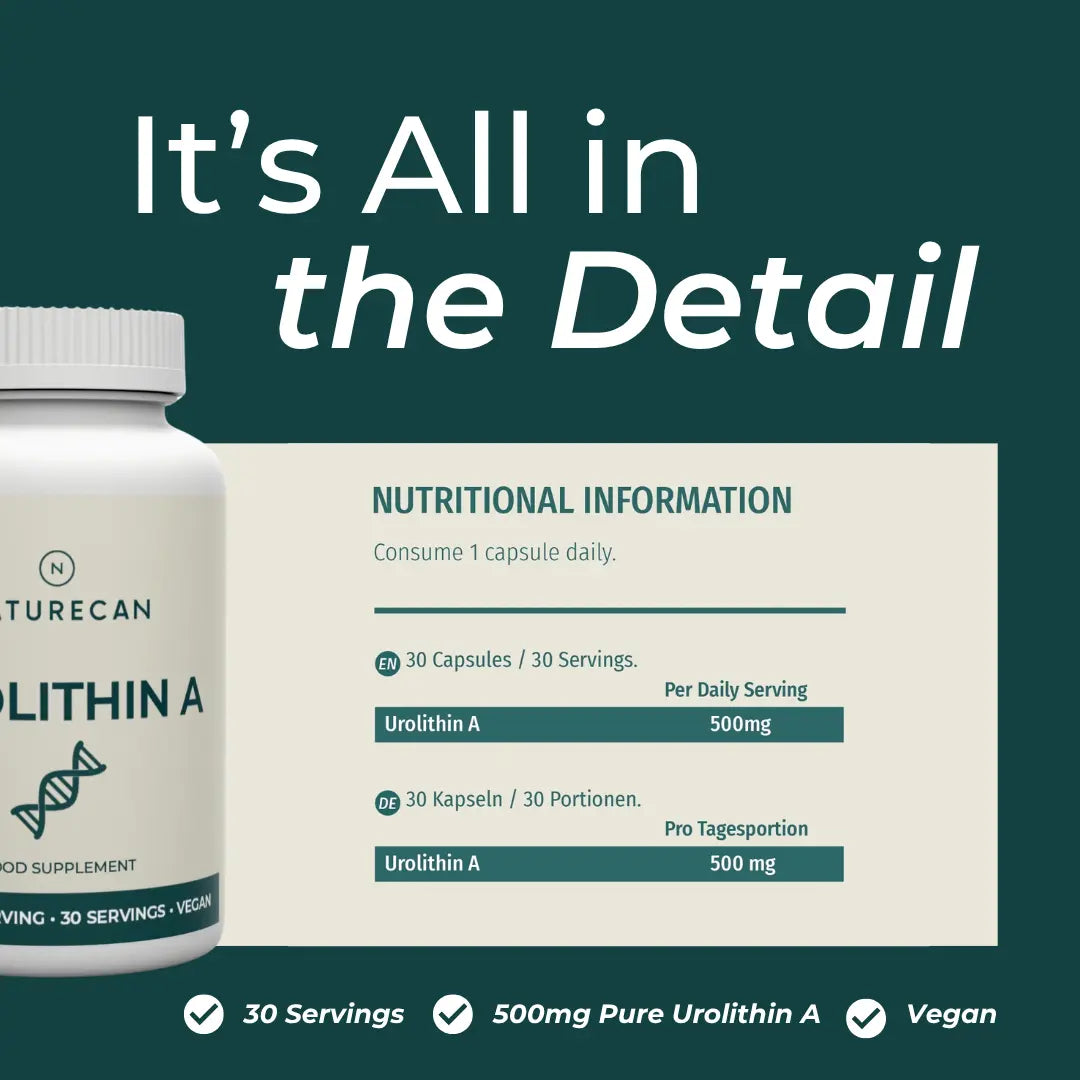 Ουρολιθίνη Α (Urolithin)