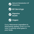 Συμπλήρωμα DAO