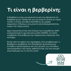 Βερβερίνη 500mg (Berberine)