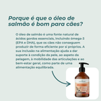 Óleo de Salmão para Cães benefícios