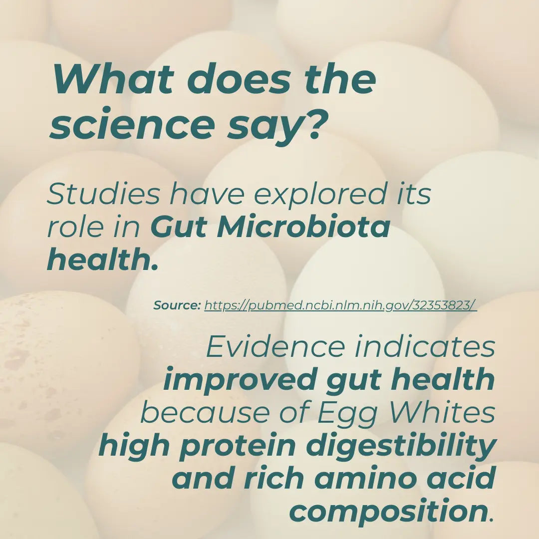 Πρωτεΐνη Αυγού (Egg Albumen) – 100% Καθαρό Ασπράδι σε Σκόνη