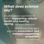 Απιγενίνη (Apigenin)