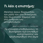 Βερβερίνη 500mg (Berberine)