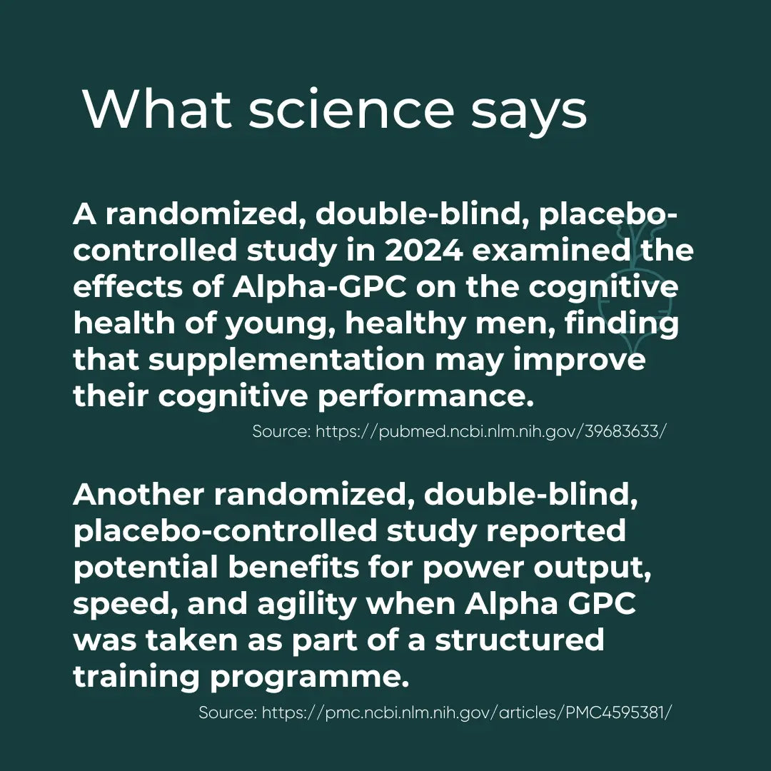 Alpha GPC - Συμπλήρωμα Χολίνης