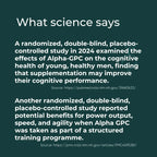 Alpha GPC - Συμπλήρωμα Χολίνης