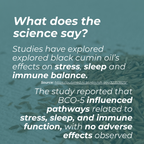 Έλαιο Μαύρου Κυμίνου (Μαυροκούκι)