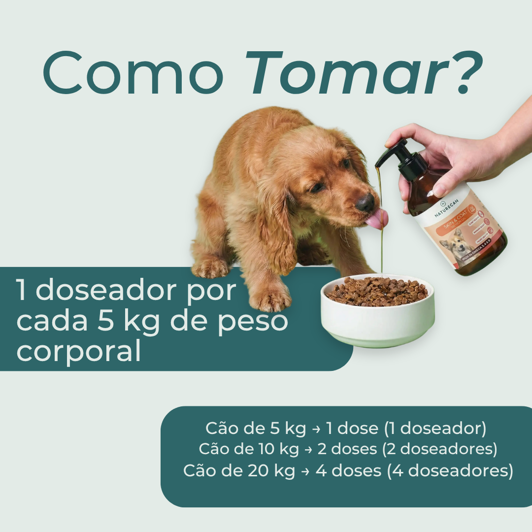 Óleo de Salmão para Cães como tomar