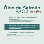 Óleo de Salmão para Cães faqs