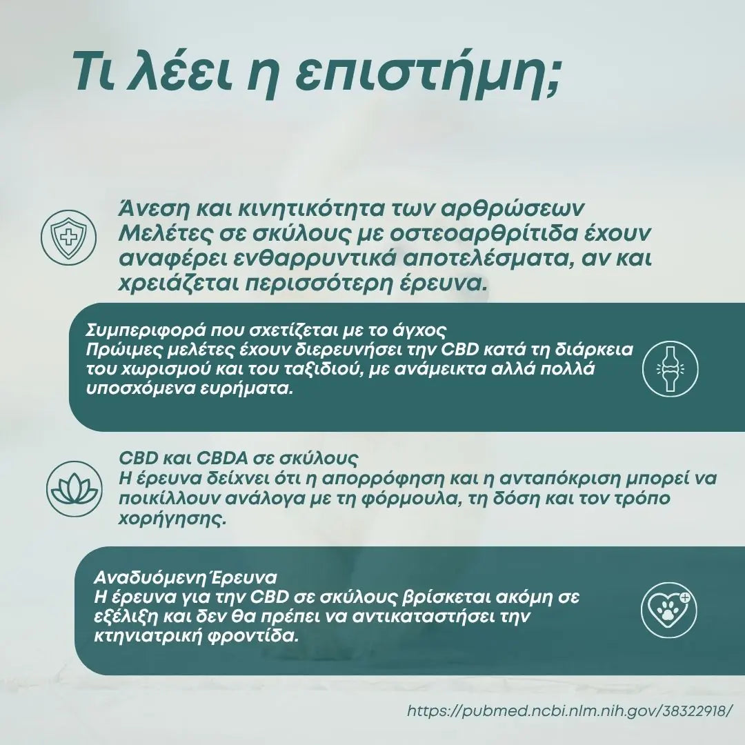 Έλαιο CBD - για Σκύλους