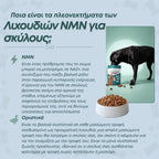 NMN Λιχουδιές για Σκύλους – Ενέργεια & Μακροζωία