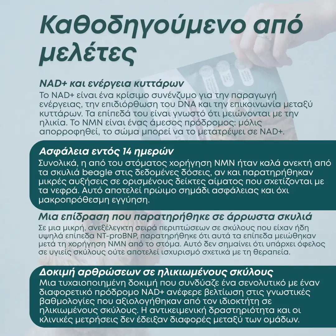 NMN Λιχουδιές για Σκύλους – Ενέργεια & Μακροζωία
