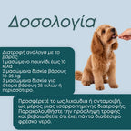 NMN Λιχουδιές για Σκύλους – Ενέργεια & Μακροζωία