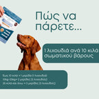 Λιχουδιές CBD Σκύλων για Ηρεμία (+Γάτες)