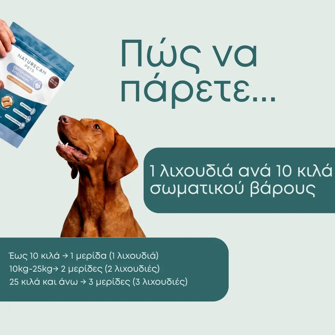 Λιχουδιές CBD Σκύλων για Ηρεμία (+Γάτες)