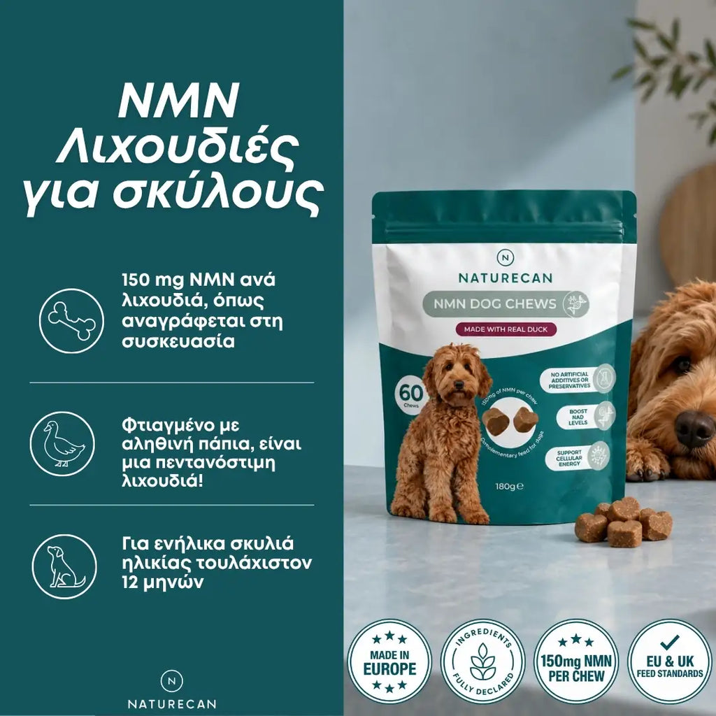 NMN Λιχουδιές για Σκύλους – Ενέργεια & Μακροζωία