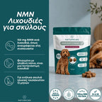 NMN Λιχουδιές για Σκύλους – Ενέργεια & Μακροζωία