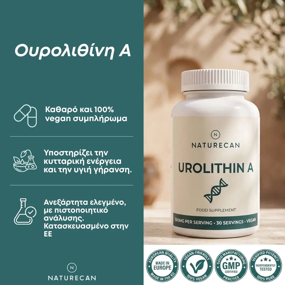 Ουρολιθίνη Α (Urolithin)
