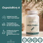 Ουρολιθίνη Α (Urolithin)