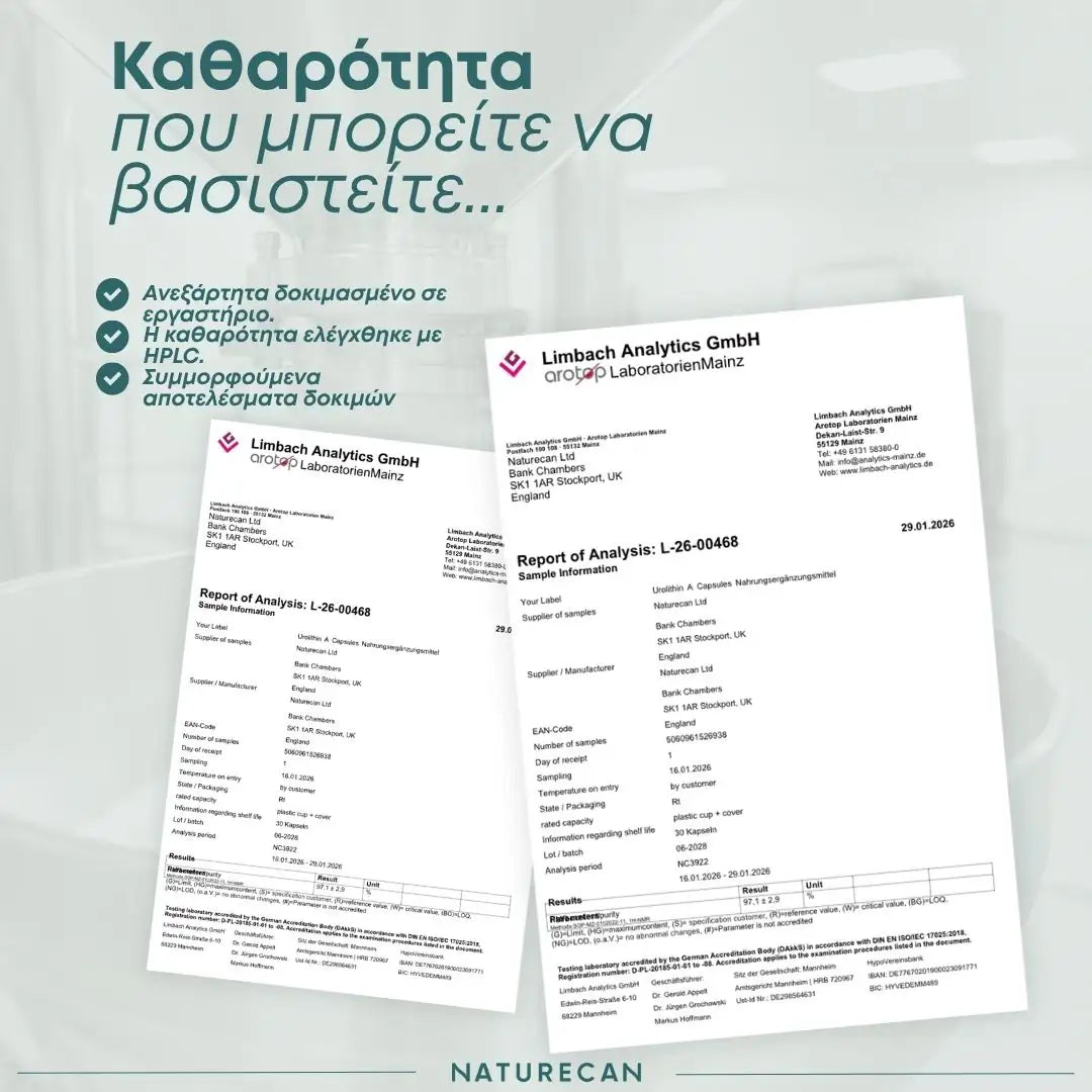 Ουρολιθίνη Α (Urolithin)