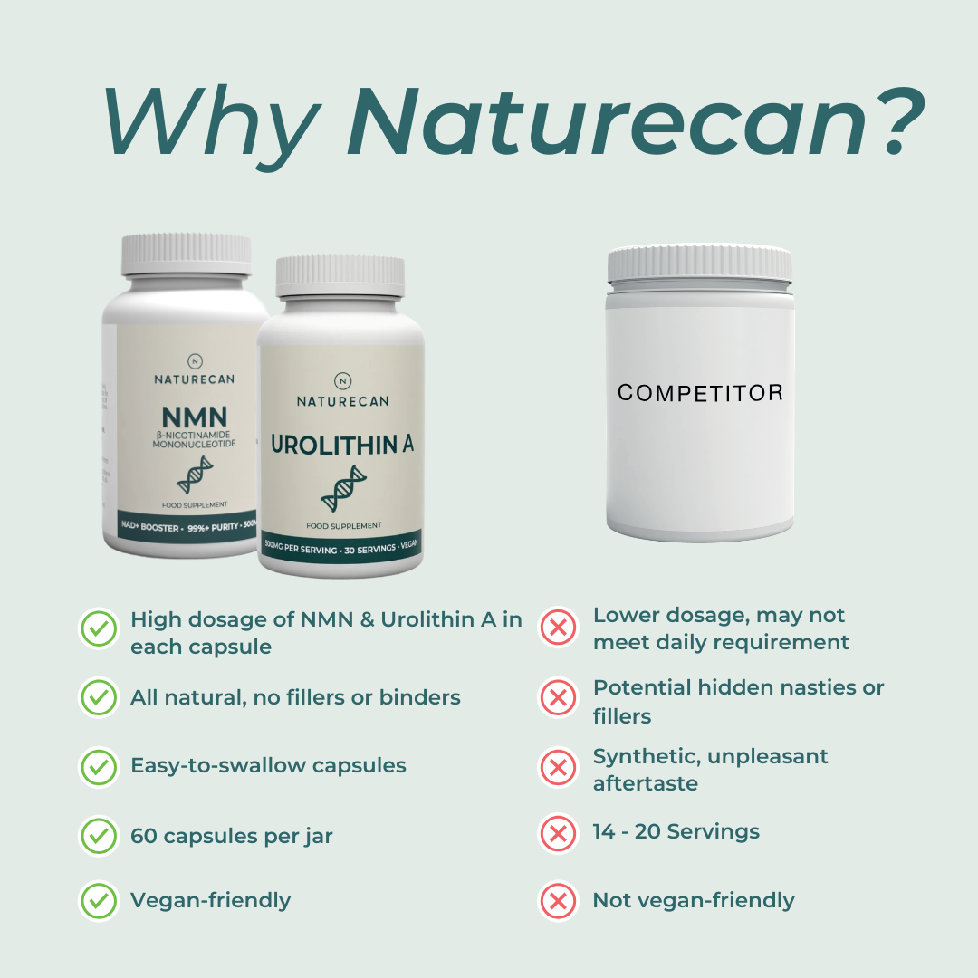 NMN supplement