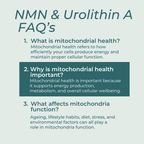Urolithin A supplement