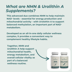 What are NMN and Urolithin A Supplements infographic – light mint background with two product bottles; advanced duo combining NMN to maintain NAD+ levels with Urolithin A to support balanced methylation; together they support mitochondrial health, energy metabolism and overall cellular vitality
