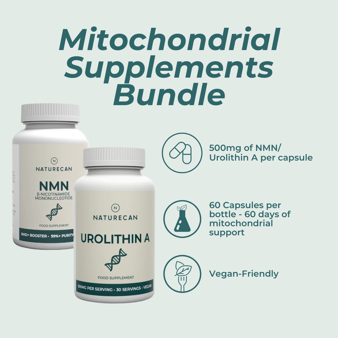 Best mitochondrial supplements