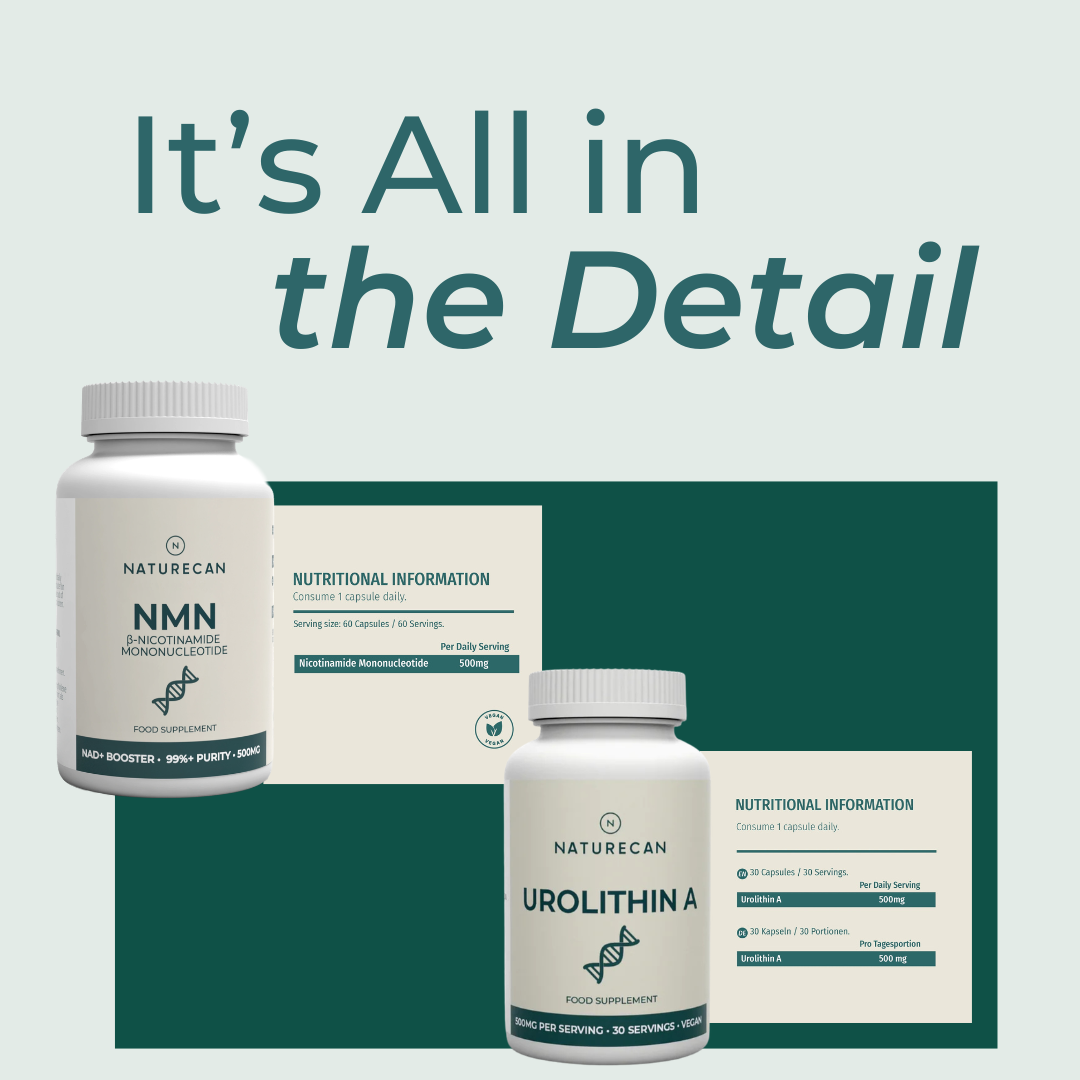 mitochondrial health