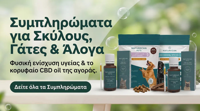 Συμπληρώματα για Κατοικίδια