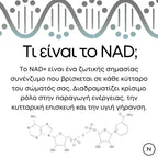 τι είναι το nad